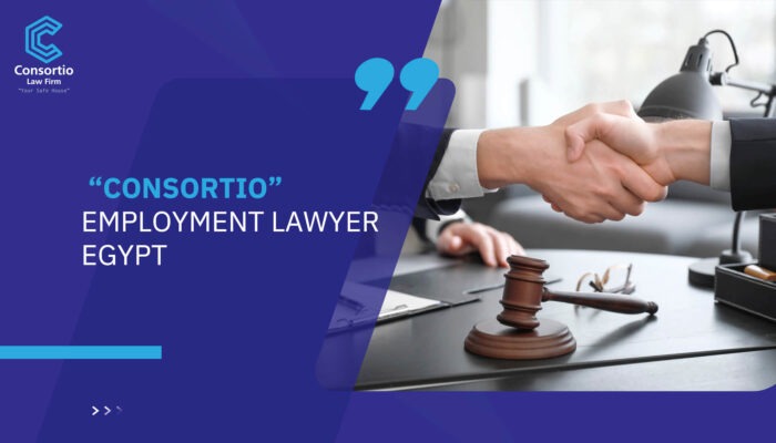 “Consortio” Employment Lawyer Egypt
