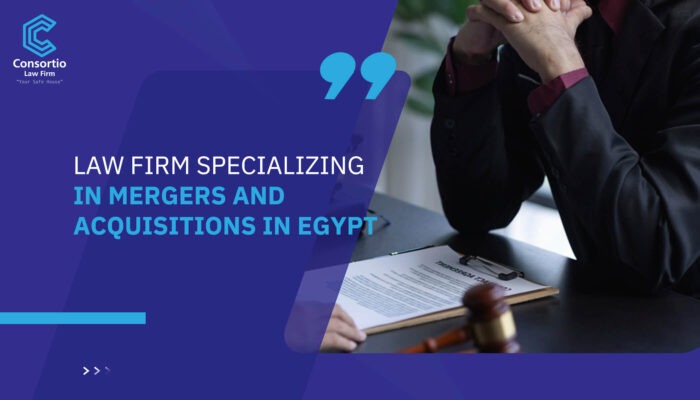 Law Firm Specializing in Mergers and Acquisitions in Egypt