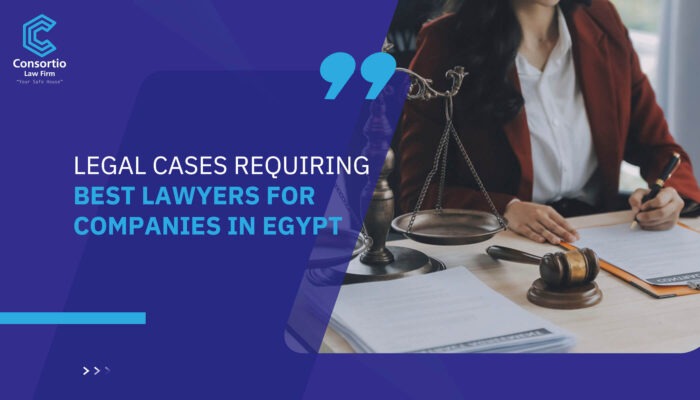 Lawyers for Companies in Egypt can not only help in resolving disputes but also in preventing legal issues from arising in the first place