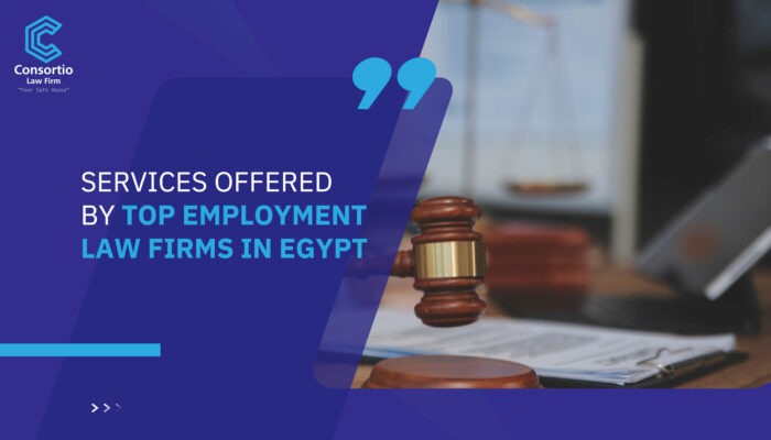 Services Offered by Top Employment Law Firms in Egypt