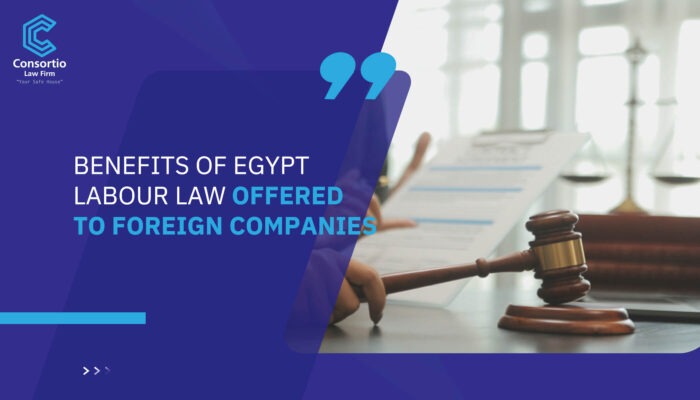 Benefits of Egypt Labour Law Offered to Foreign Companies
