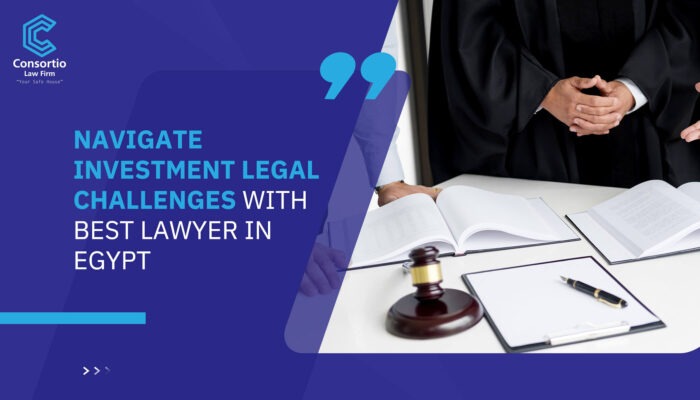 Navigate Investment Legal Challenges with Best Lawyer in Egypt