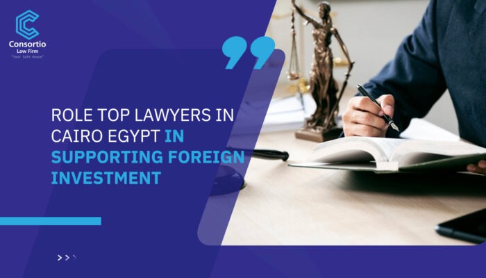 Role Top Lawyers in Cairo Egypt in Supporting Foreign Investment