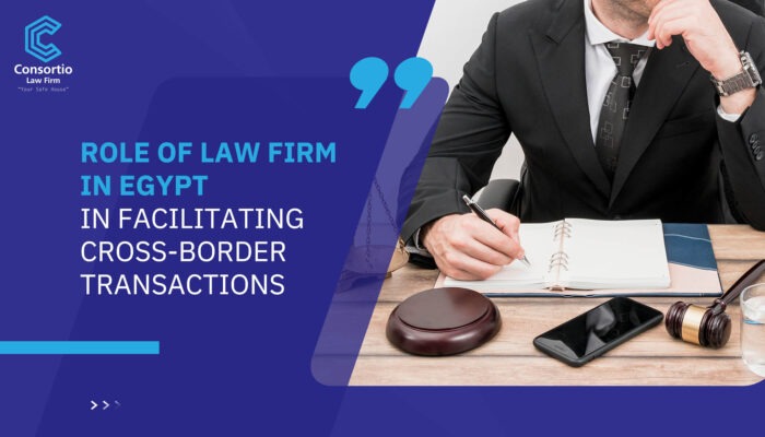 Role of Law Firm in Egypt in Facilitating Cross-Border Transactions
