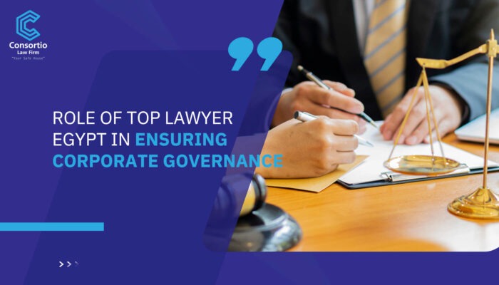 Role of Top Lawyer Egypt in Ensuring Corporate Governance