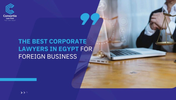 The Best Corporate Lawyers in Egypt for Foreign Business