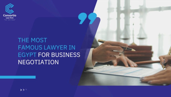 The Most Famous Lawyer in Egypt for Business Negotiation