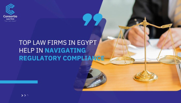 Top Law Firms in Egypt Help in Navigating Regulatory Compliance
