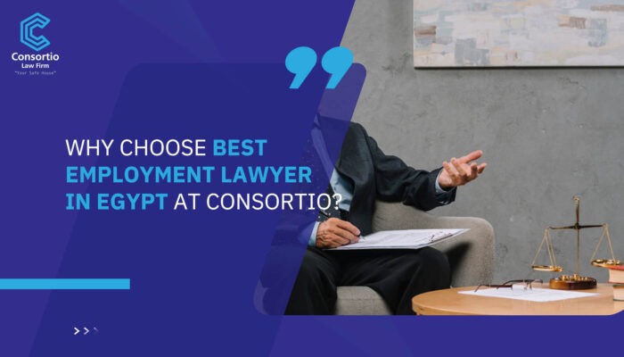 Why Choose Best Employment Lawyer in Egypt at Consortio?