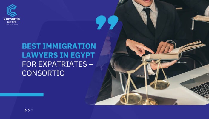 Best Immigration Lawyers in Egypt for Expatriates – Consortio