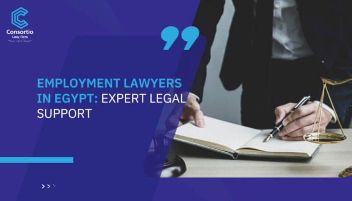 Employment Lawyers in Egypt: Expert Legal Support
