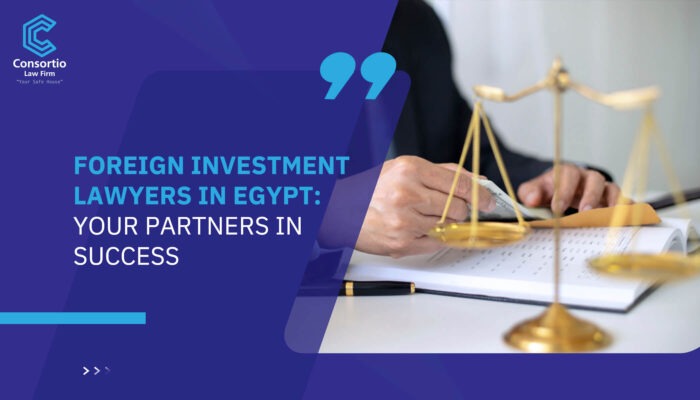 Foreign Investment Lawyers in Egypt: Your Partners in Success