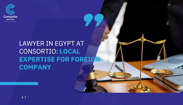 Lawyer in Egypt at Consortio: Local Expertise for Foreign Company