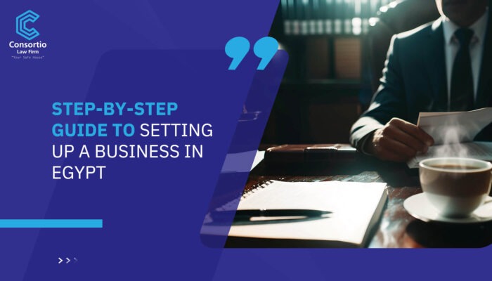Step-by-Step Guide to Setting Up a Business in Egypt