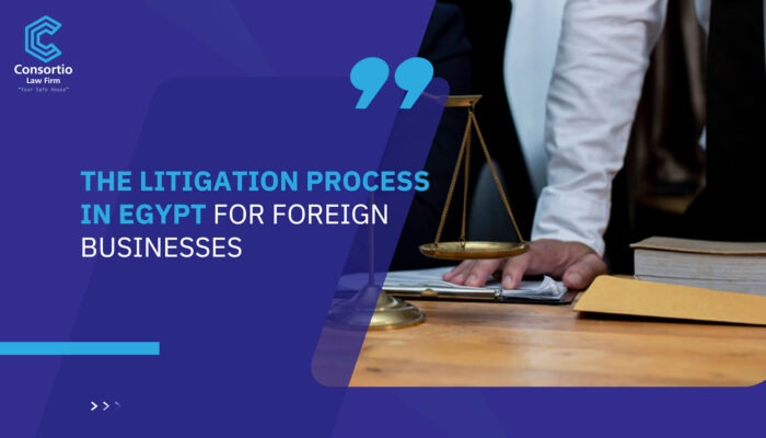 The Litigation Process in Egypt for Foreign Businesses