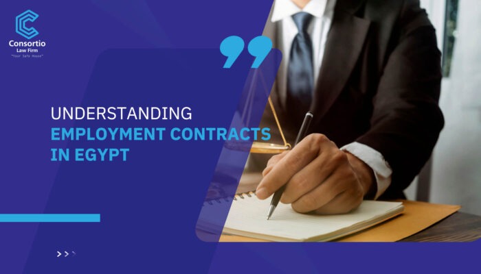 Understanding Employment Contracts in Egypt