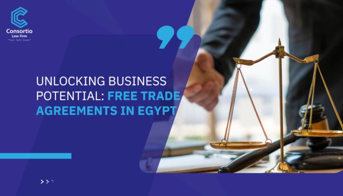 Unlocking Business Potential: Free Trade Agreements in Egypt