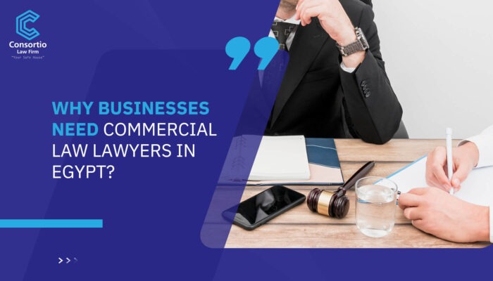Why Businesses Need Commercial Law Lawyers in Egypt?