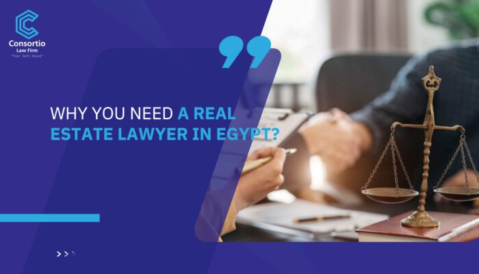 Why Choose Consortio Law Firm for Company Formation in Egypt?