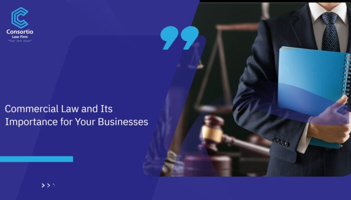 Commercial_Law_and_Its_Importance_for_Your_Businesses