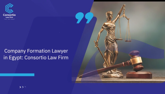 Company_Formation_Lawyer_in_Egypt__Consortio_Law_FIRM (1) (1)