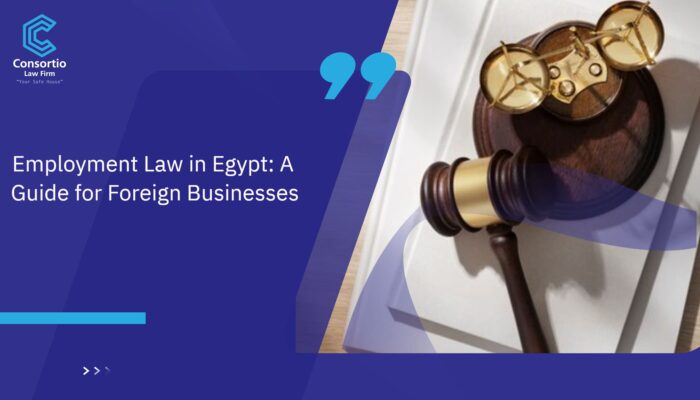 Employment_Law_in_Egypt__a_Guide_for_Foreign_Businesses