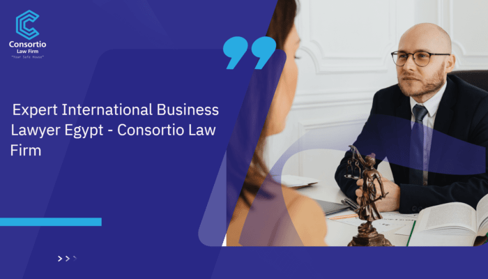 Expert International Business Lawyer Egypt - Consortio Law Firm