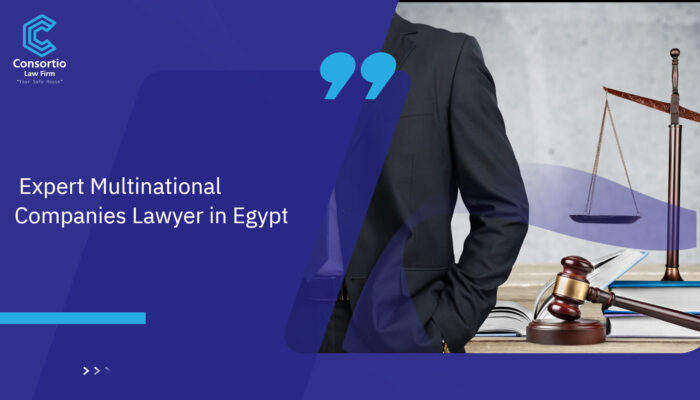 Expert_Multinational_Companies_Lawyer_in_Egypt (1)