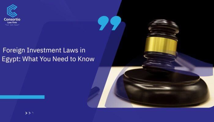 Foreign_Investment_Laws_in_Egypt__What_You_Need_To_Know