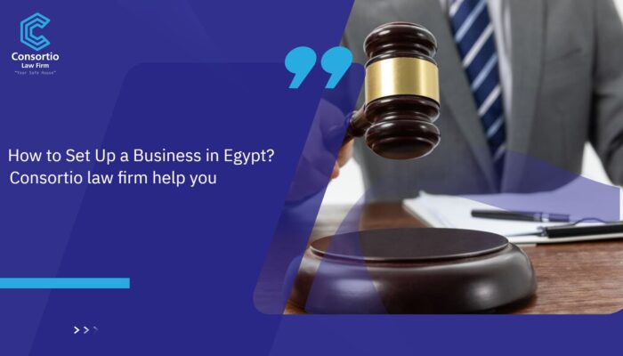 How_to_set_up_a_Business_in_Egypt__Consortio_Law_Firm_Help_You