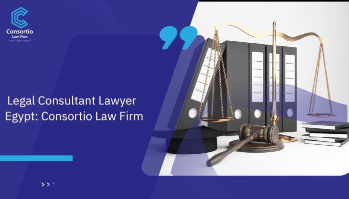 Legal_Consultant_Lawyer_Egypt__Consortio_Law_Firm (1)