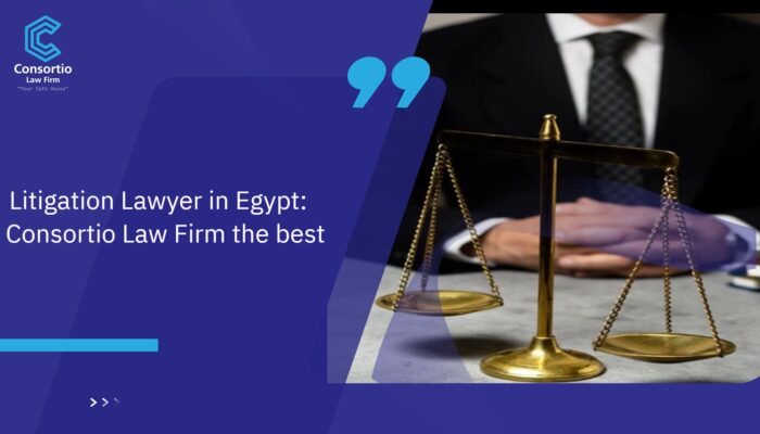 Litigation_Lawyer_in_Egypt__Consortio_Law_FIRM_The_Best