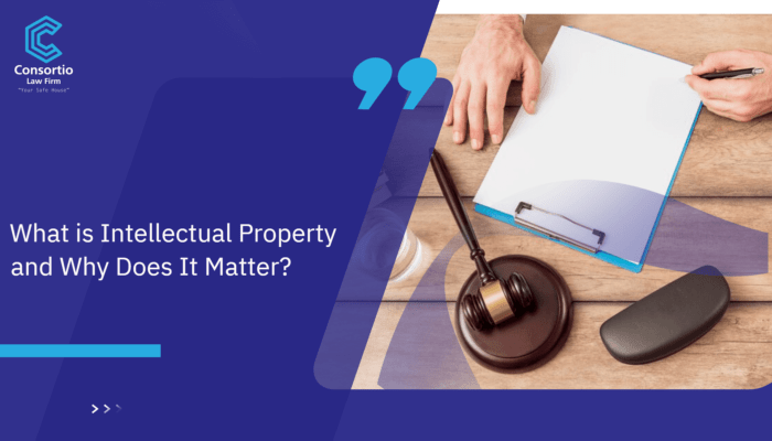 What is Intellectual Property and Why Does It Matter?