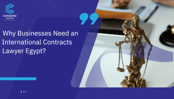 Why Businesses Need an International Contracts Lawyer Egypt?