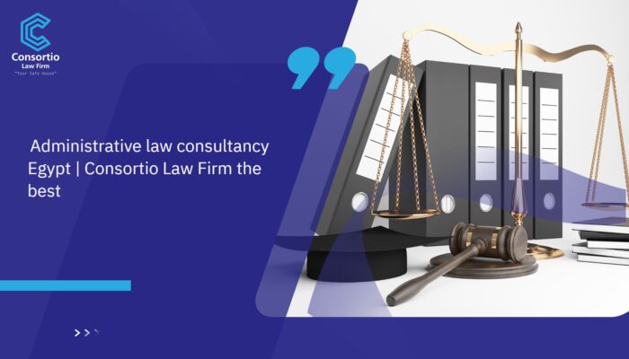Administave_Law_Consultancey_Egypt___Consortio_Law_Firm_The_Best