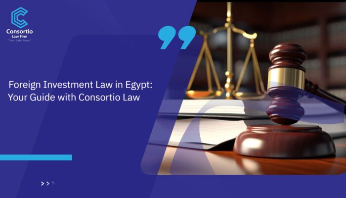 Foreign_Investment_Law_in_Egypt__Your_Guide_with_Consortio_Law