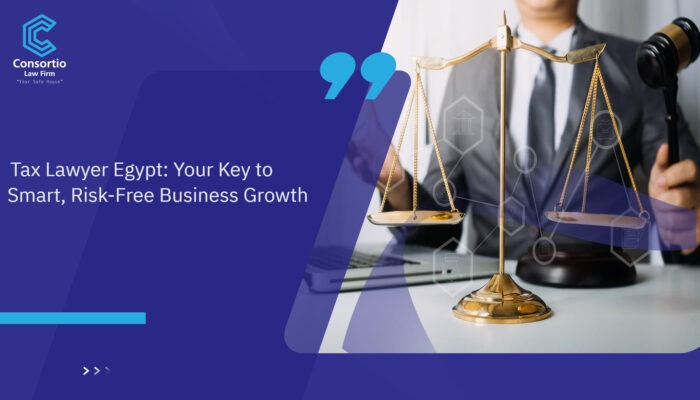 Tax_Lawyer_Egypt__Your_Key_to_Smart__Risk-Free_Business_Growth