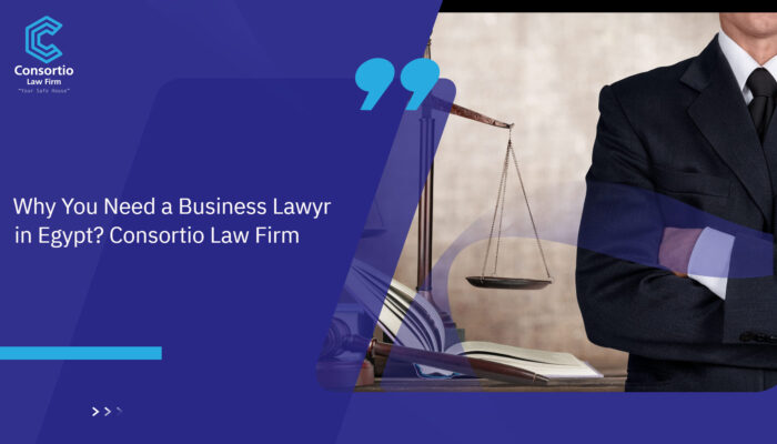 Why_you_Need_a_Business_Lawyer_in_Egypt__Consortio_Law_Firm