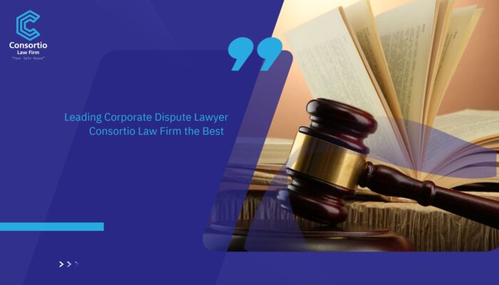 Corporate Dispute Lawyer