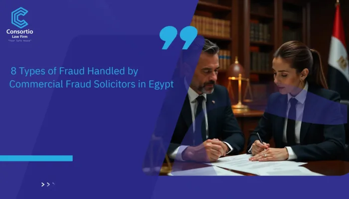 Commercial Fraud Solicitors in Egypt