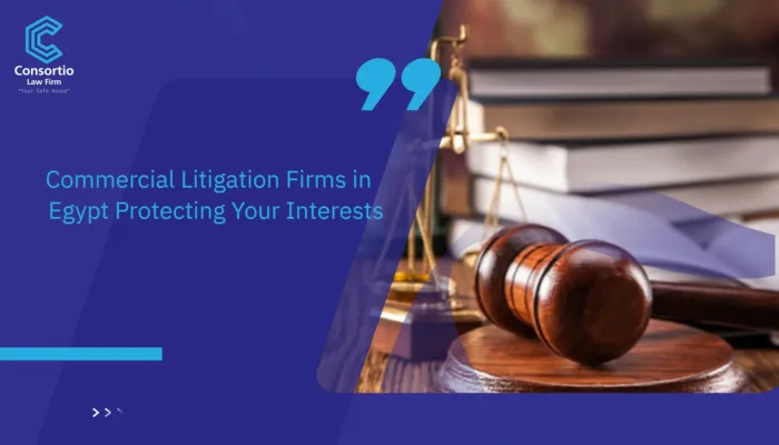 Commercial Litigation Firms in Egypt