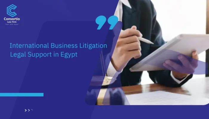 International Business Litigation