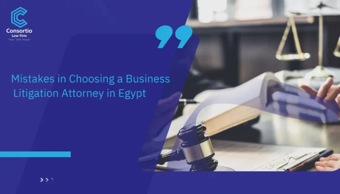 Business Litigation Attorney