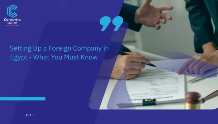 Setting Up a Foreign Company