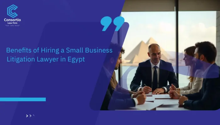 Small Business Litigation Lawyer in Egypt