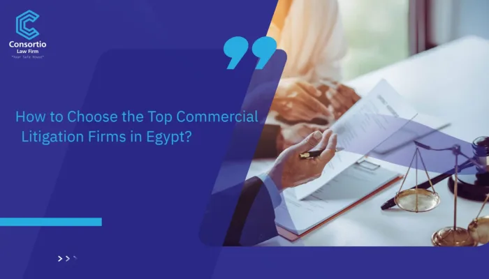 Top Commercial Litigation Firms