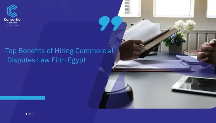 Commercial Disputes Law Firm
