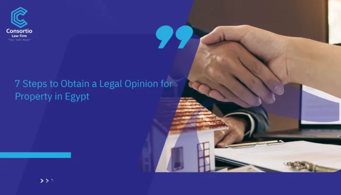 Legal Opinion for Property