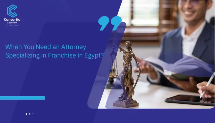 Attorney Specializing in Franchise in Egypt