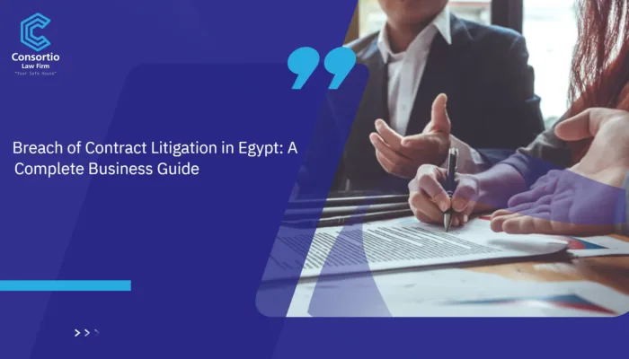 Breach of Contract Litigation in Egypt